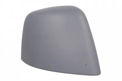 Carcasa oglinda laterala Dreapta (grunduit) potrivit FORD TOURNEO CONNECT V408 NADWOZIE WIELKO, TRANSIT CONNECT, TRANSIT CONNECT V408 MINIVAN 02.13