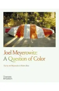 Joel Meyerowitz: A Question of Color