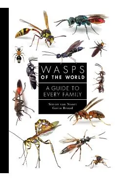 Wasps of the World: A Guide to Every Family