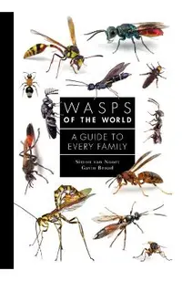 Wasps of the World: A Guide to Every Family