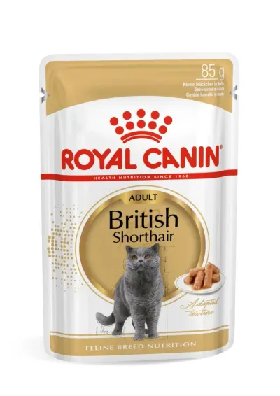 Royal Canin British Shorthair Adult hrana umeda pisica (in sos) 85g