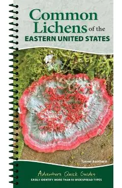 Common Lichens of the Eastern United States: Easily Identify More Than 55 Widespread Types