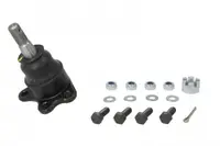 Pivot Axa Dreapta Stanga (superior) Potrivit Cadillac Escalade; Chevrolet Astro, C1500, C2500, Express, Express 1500, Express 2500, K1500, K2500, Suburban, Tahoe; Gmc Safari 4.3-7.4 09.87-