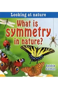 What Is Symmetry in Nature?
