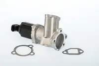Supapa Egr Potrivit Fiat 500, 500 C, Doblo, Doblo Minivan, Fiorino, Fiorino Minivan, Grande Punto, Idea, Palio, Panda, Panda Hatchback, Punto, Punto Evo, Punto Evo Hatchback 1.3d 1.7d 09.01