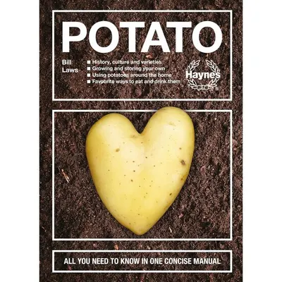 Potato