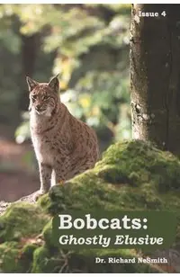 Bobcats: Ghostly Elusive