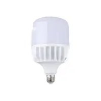 Bec Led – MoonLight T160 E40 100w/6400k