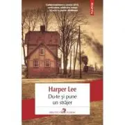 Du-te si pune un strajer