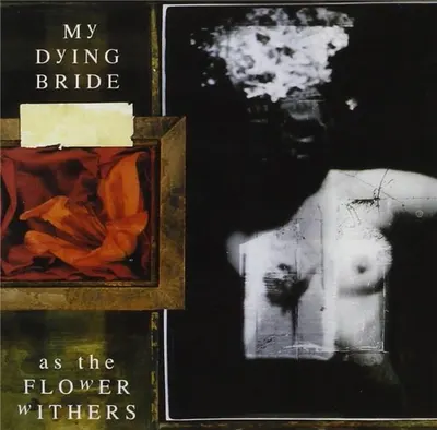 As The Flower Withers