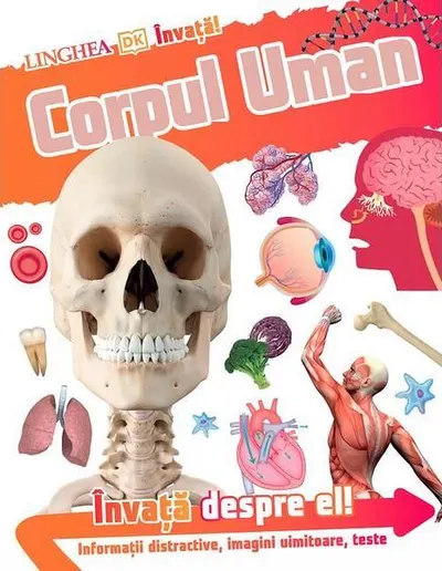 Învață! Corpul Uman - Paperback brosat - ***