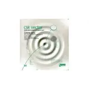 CSR vector. Decizii. Decizii. Decizii. Cum alegi sa cresti