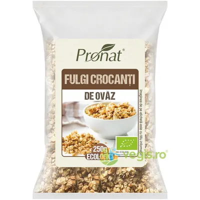Fulgi Crocanti de Ovaz Ecologici/Bio 250g