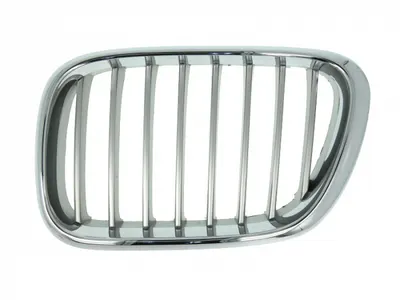 Grila radiator fata stanga titanium BMW X5 E53 intre 2000-2003