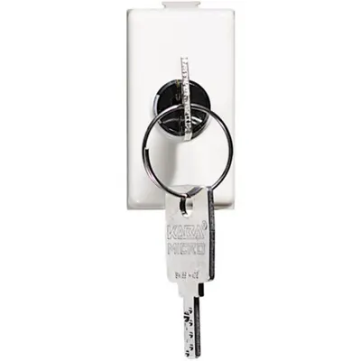 matix - Intrerupator cap-scara 2 module 16A cheie