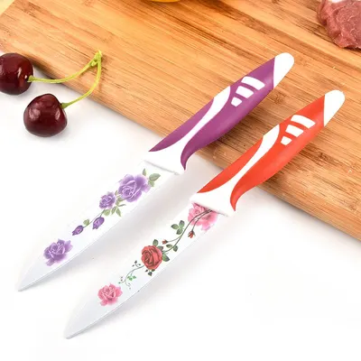 Cuțite Bucătărie 4/set, Lamă Inox Decor Floral si Mâner Antiderapant 23cm Diferite Culori