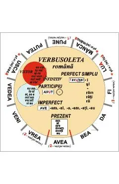 Verbusoleta romana