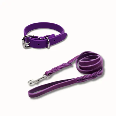 Pachet LILIAC lesa + zgarda