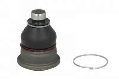 Pivot axa Dreapta Stanga (fata) (diametru con 16mm) potrivit NISSAN MICRA C+C III, MICRA II, MICRA III, NOTE 1.0-1.6 08.92