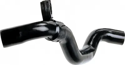 Furtun radiator superior (31mm 31mm) potrivit RENAULT CLIO II, CLIO II HATCHBACK, KANGOO, KANGOO EXPRESS, THALIA I 1.9D 08.97