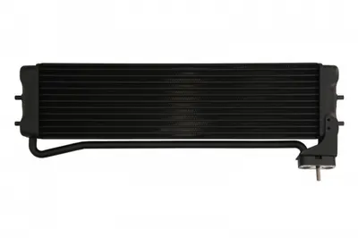 Termoflot radiator ulei BMW Seria 5 (E60), 5 (E61), 6 (E63), 6 (E64) 5.0 intre 2004-2010