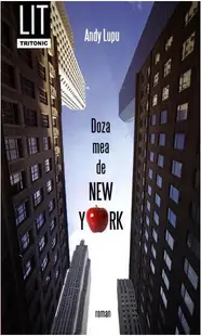 Doza mea de New York - Paperback brosat - Andy Lupu