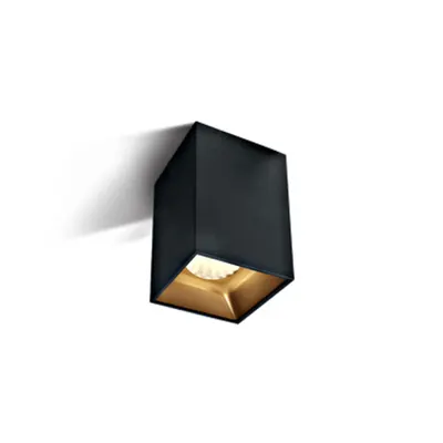 Sienna-I-S 12W, 960lm, 3000K, 230V, IP20, 45°, negru