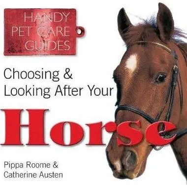 Choosing & Looking After Your Horse
