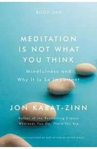 Meditation Is Not What You Think: Mindfulness and Why It Is So Important