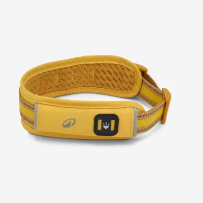 Zgardă pentru câine 500 OUTDOOR Galben