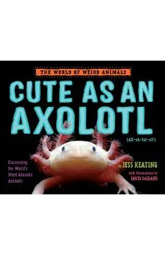 Cute as an Axolotl: Discovering the World's Most Adorable Animals