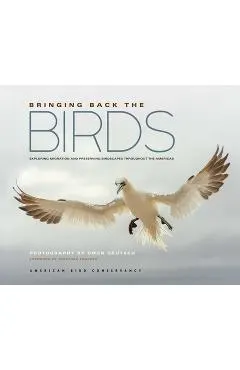 Bringing Back the Birds: Exploring Migration and Preserving Birdscapes Throughout the Americas