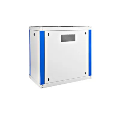 Dulap de perete DTW, 12U H=646 x W=600 x D=450, 19