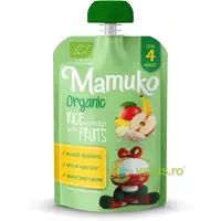 Porridge de Orez cu Fructe 4+ Luni Ecologic/Bio 100g