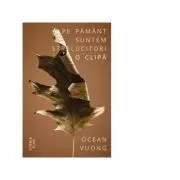 Pe pamant suntem stralucitori o clipa