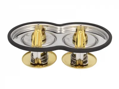 Termostat lichid racire (8; 80 C 80 C, cu garnitura) potrivit SCANIA 4, 4 BUS, G I, K, N BUS, P I, R I, T DC09.110-DT16.08 05.95