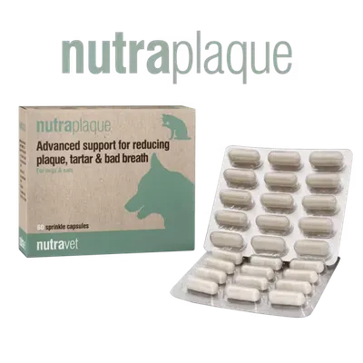 Nutravet NutraPlaque, Caini & Pisici, 60 capsule moi