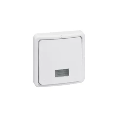 Switch Plexo 66 - 1 module - 1 way doi poli + indicator - 20 A 250 V~ - flush mounting