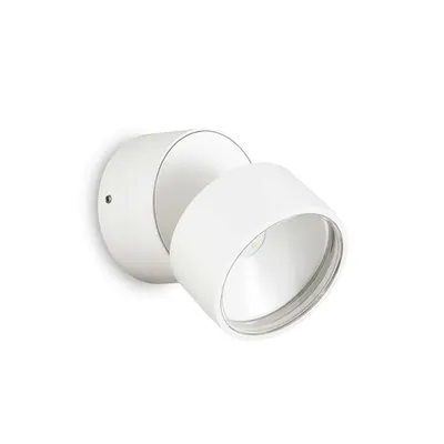 Corp de iluminat pentru exterior Omega ap round 4000k Alb
