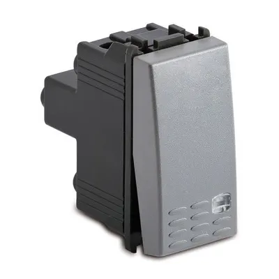 Buton iluminat 1P 16AX 250V~, argintiu