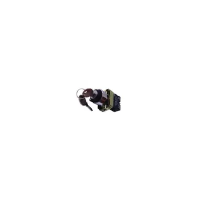 Intrerupator rotativ cu retinere si cheie n0-1 cu retinere - cu cheie - 1 contact deschis (ND)