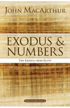 Exodus and Numbers: The Exodus from Egypt