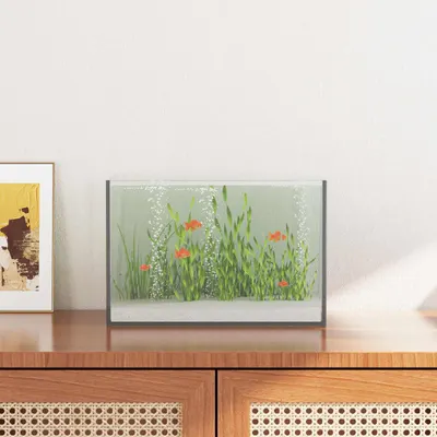 vidaXL Acvariu cu depozitare Transparent 30 x 20 x 20 cm Sticlă