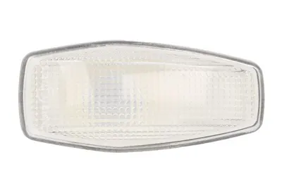 Semnalizator fata Dreapta/Stanga (transparent, PY21W) potrivit HYUNDAI ACCENT II, GETZ, I10 I, IX35, MATRIX, TERRACAN, TRAJET, TUCSON; KIA CARNIVAL