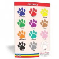 Culorile - plansa 50x70