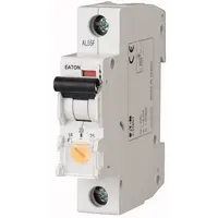 Limitator de consum, monofazat 16-25A monopolar Z-TS32/1