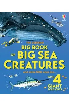 Big Book of Big Sea Creatures