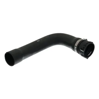 Furtun radiator (cu paranteze de montaj, 55mm, lungime: 390mm) potrivit SCANIA 4, R I, T DC16.01-DT16.08 01.96-05.19