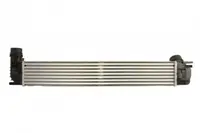 Intercooler Renault Fluence, Grand Scenic Iii, Megane, Megane Iii, Scenic Iii 1.6d 1.9d 2.0 2008-