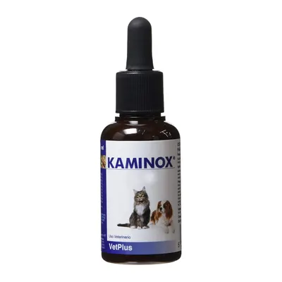 Kaminox, 60 ml